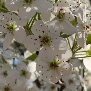 Meet your Posher, Shalisa